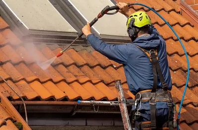 Démoussage et hydrofuge de toiture à Louvie-Soubiron